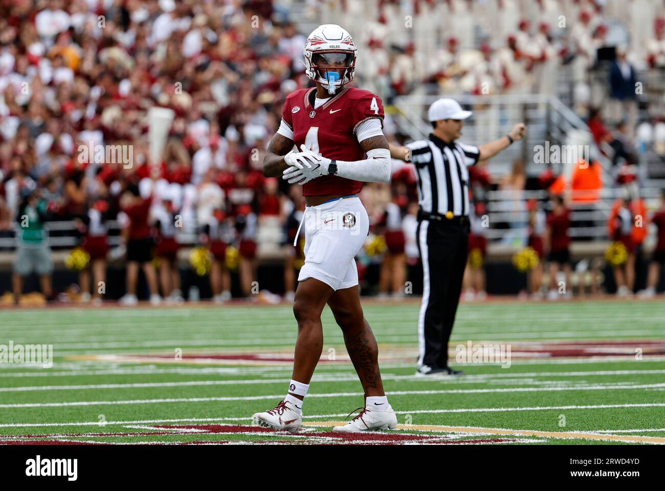 CHESTNUT HILL, MA - SEPTEMBER 16: Florida State Seminoles wide receiver Keon Coleman (4) during a game between the Boston College Eagles and the Florida State Seminoles on September 16, 2023, at Alumni Stadium in Chestnut Hill, Massachusetts. (Photo by Fred Kfoury III/Icon Sportswire) (Icon Sportswire via AP Images) Stockfoto