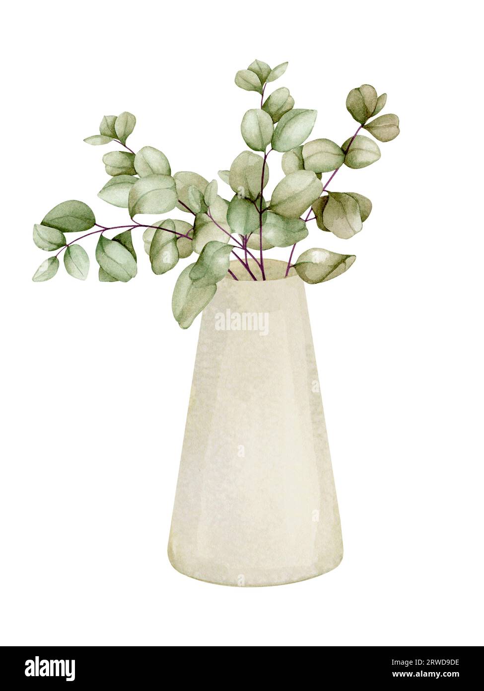 Eukalyptus in einer Keramikvase. Aquarell-Illustration im scandi-Boho-Stil. ECO, Minimalismus, Wohnkultur. Fertige Komposition für die Gestaltung eines p Stockfoto