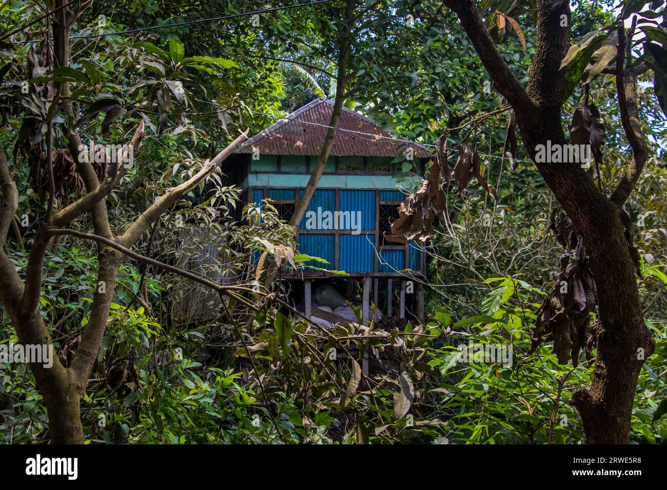 Altes Haus in grüner Natur aus Ruhitpur, Bangladesch am 5. September 2022 Stockfoto