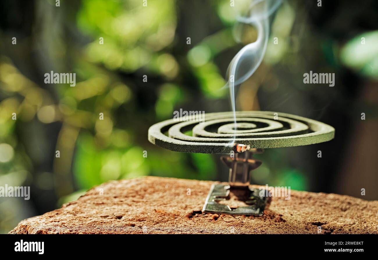 Grünes Spiralinsektenabwehr Mückenspulen-Räucherstäbchen Stockfoto