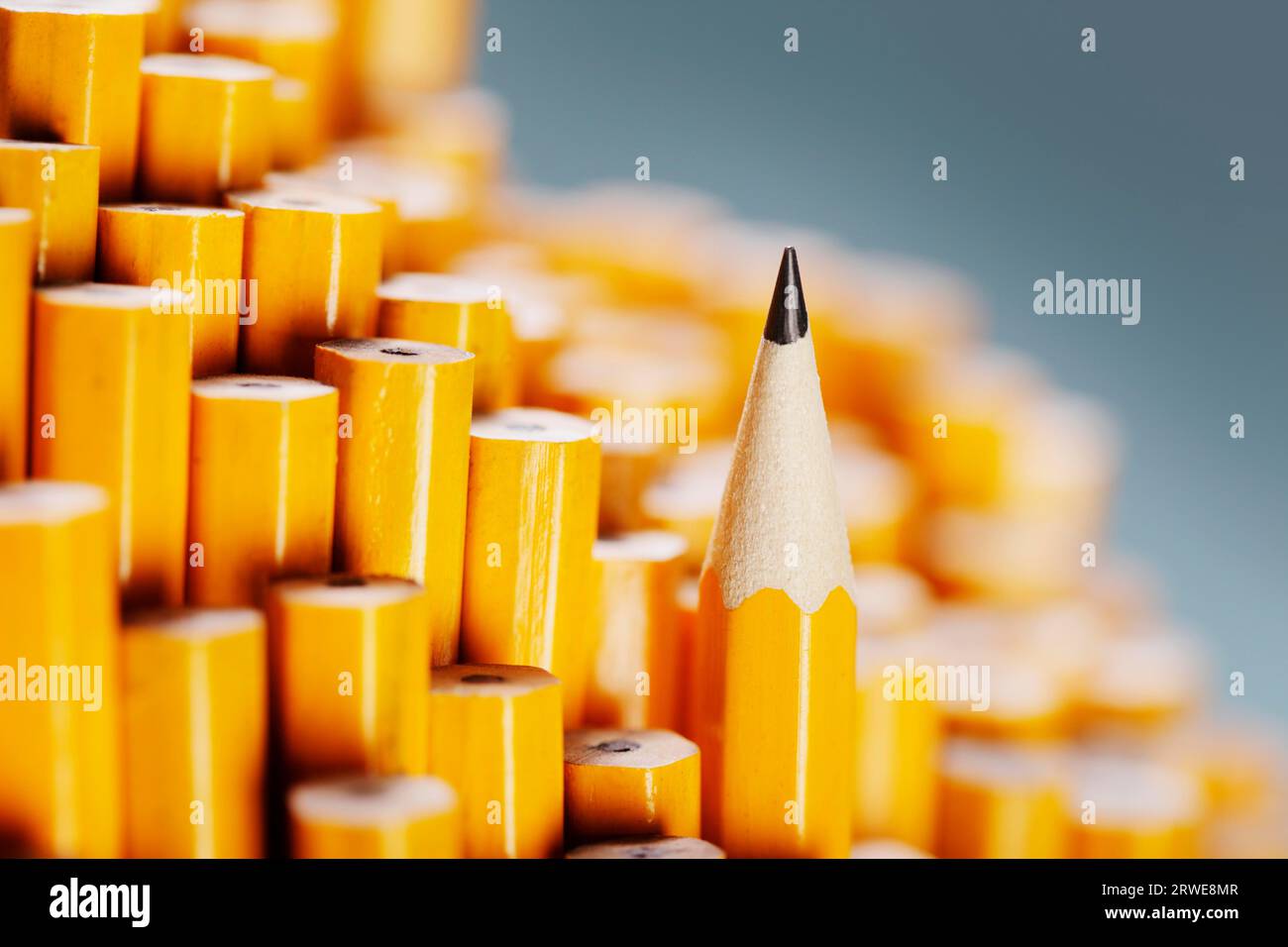 Ein geschärfter Bleistift hebt sich von den stumpfen ab Stockfoto