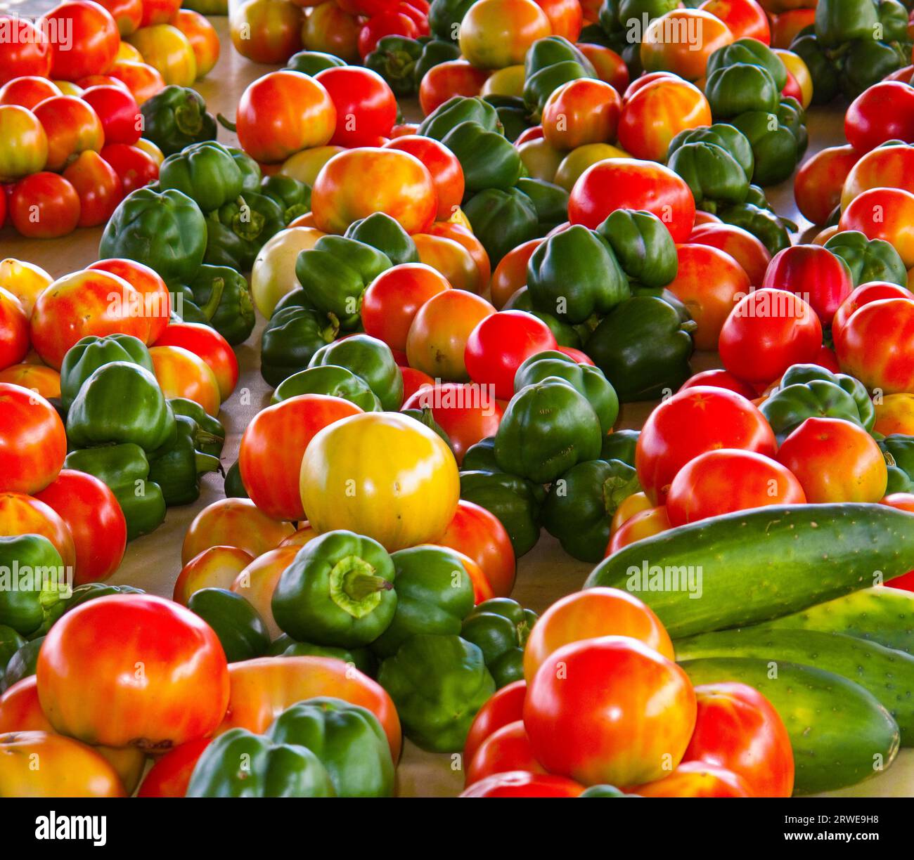 Tonga Gemuese Stockfoto