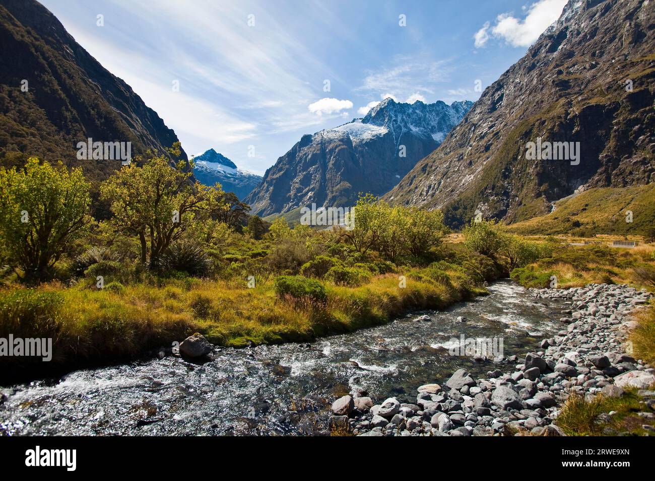 Landschaft in Fjordland, Neuseeland Stockfoto