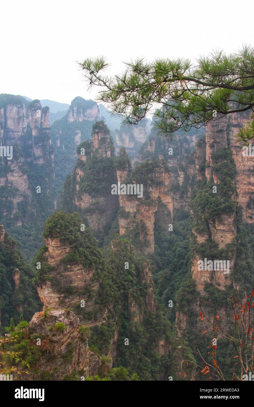 Tauchen Sie ein in die atemberaubende Schönheit von Chinas Avatar-ähnlichen Bergen, einem majestätischen Reich von atemberaubenden Gipfeln und der Pracht der Natur Stockfoto