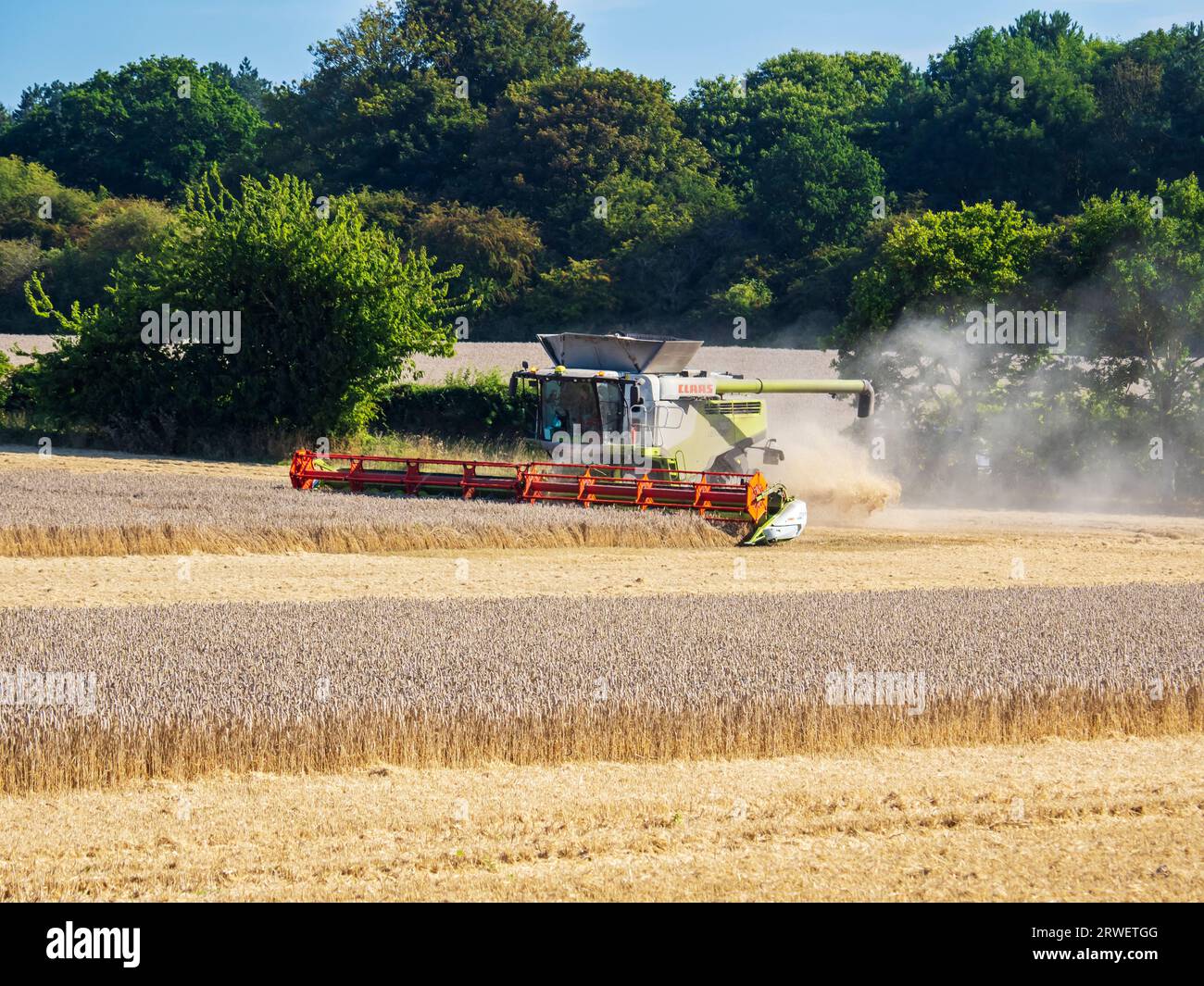 Ein Landwirt, der ein Weizenfeld in Cley Next the Sea, Norfolk, Großbritannien erntet. Stockfoto