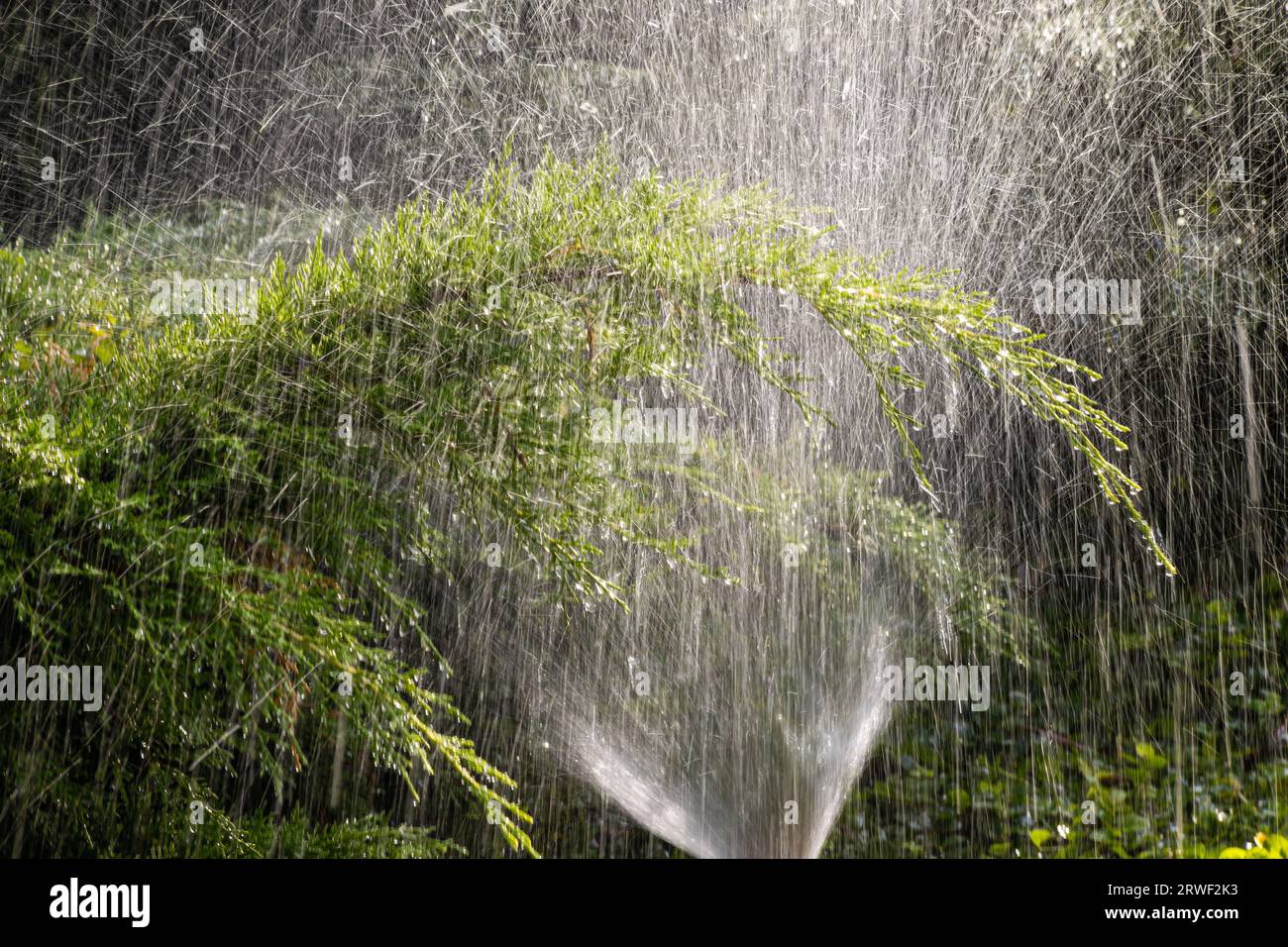 Moderne Geräte des Bewässerungsgartens. Bewässerungssystem - Technik der Bewässerung im Garten. Rasensprenger sprühen Wasser über Grün Stockfoto
