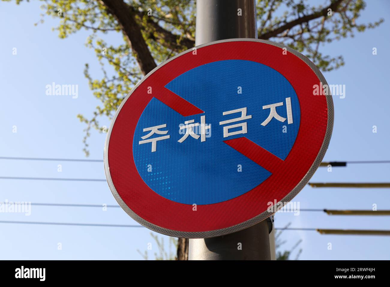 Kein Parkschild in einer Straße in Seoul, Südkorea. Im koreanischen Text steht: Kein Parken erlaubt. Stockfoto