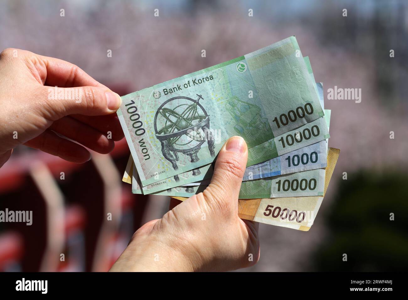 Südkoreanischer Won. Währung Südkoreas – gebrauchte Banknoten in handgehaltener Hand. Koreanisches Geld. Stockfoto