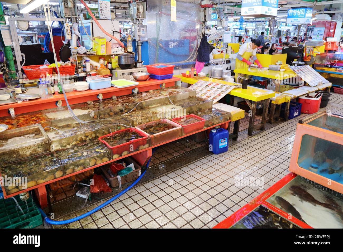 BUSAN, SÜDKOREA - 27. MÄRZ 2023: Händler verkaufen Fisch und Meeresfrüchte auf dem berühmten Jagalchi Fish Market in der Innenstadt von Busan, Südkorea. Stockfoto
