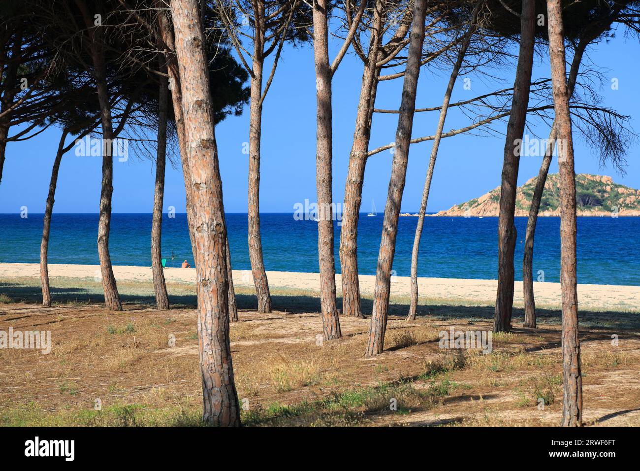 Strand Lido delle Rose (Spiaggia del Lido delle Rose). Sandstrand in Lotzorai auf der Insel Sardinien, Italien. Stockfoto