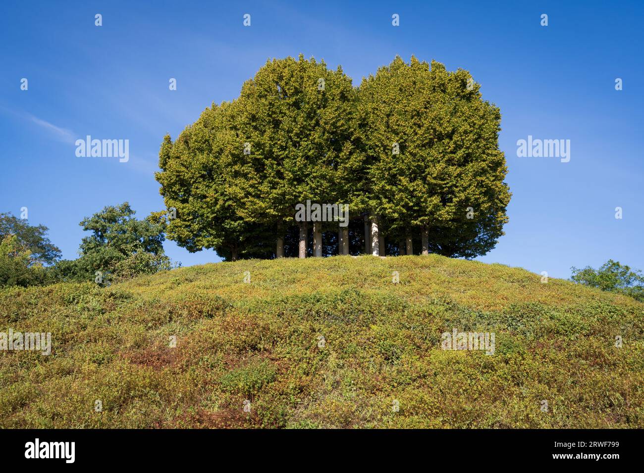 Der Exotische Garten auf dem Gelände der Universität Hohenheim Stuttgart Stockfoto