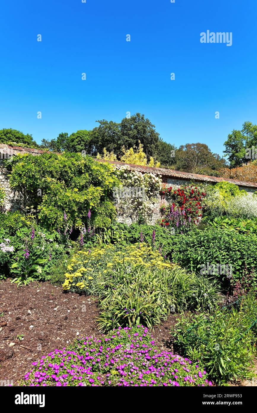Eine gemischte krautige Grenze in einem ummauerten Garten an einem Sommertag Leckford Estate, Stockbridge Hampshire England Stockfoto
