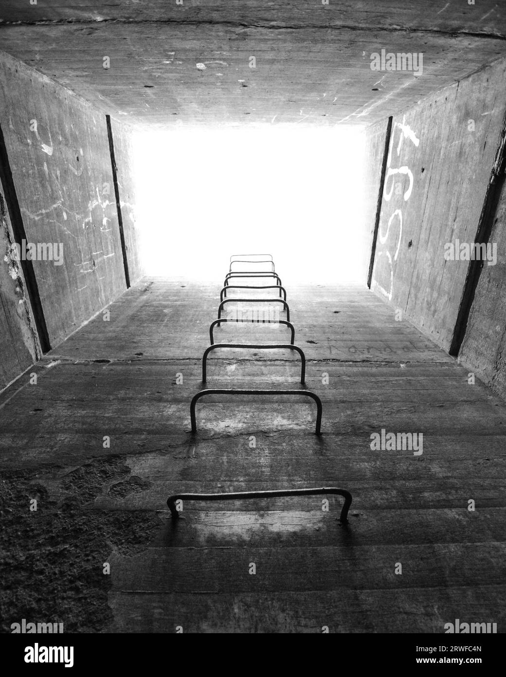 Leiter in einem alten Bunker aus dem 2. Weltkrieg, der zu hellem, heiligem Licht, himmlischem oder unheimlichem Gefühl führt Stockfoto