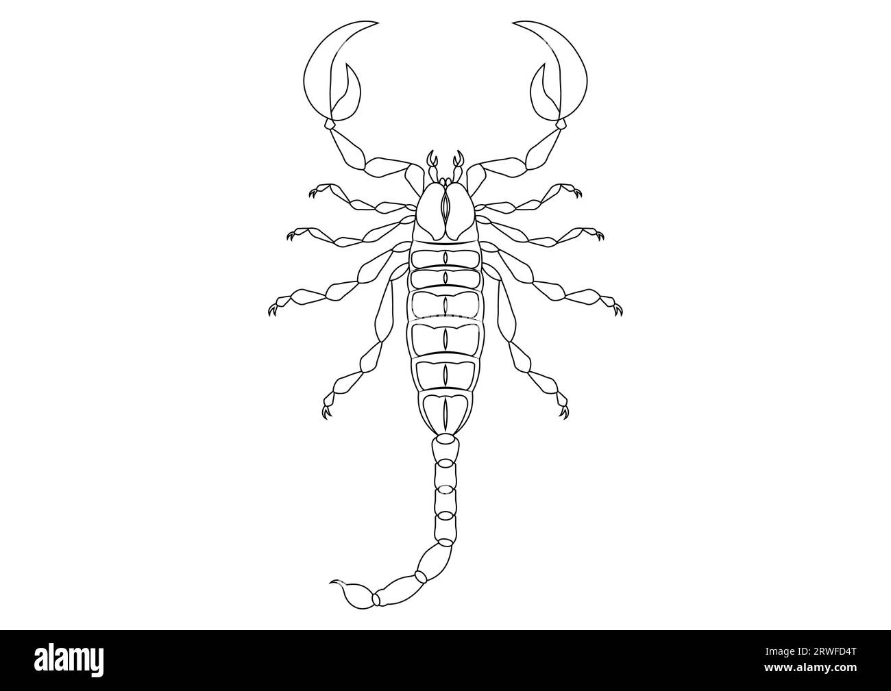 Schwarz-weiß Skorpion Clipart Vektor isoliert auf weißem Hintergrund. Ausmalseite eines Skorpions Stock Vektor