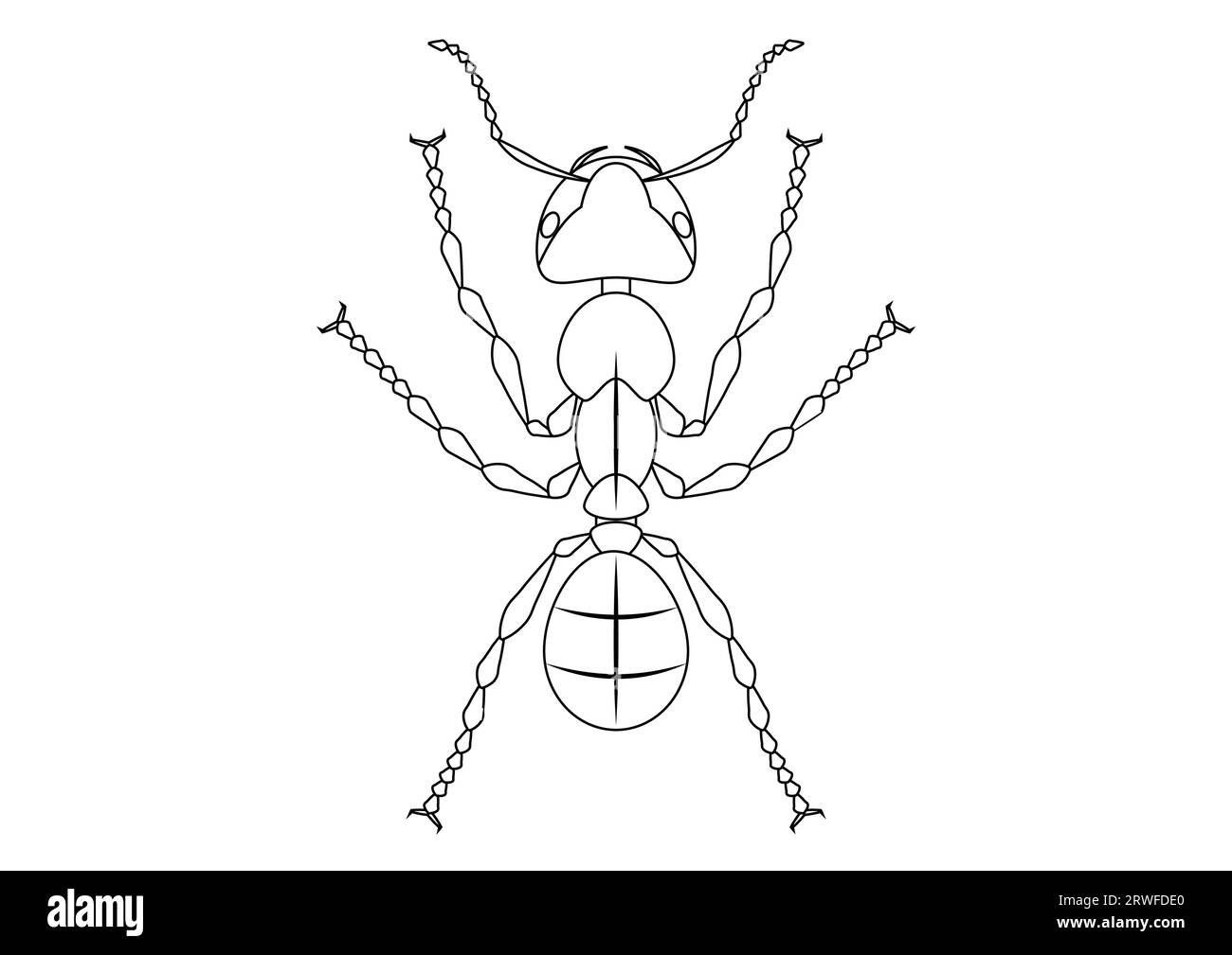Schwarz-weiß-Ant Clipart. Malseite von Ant Stock Vektor