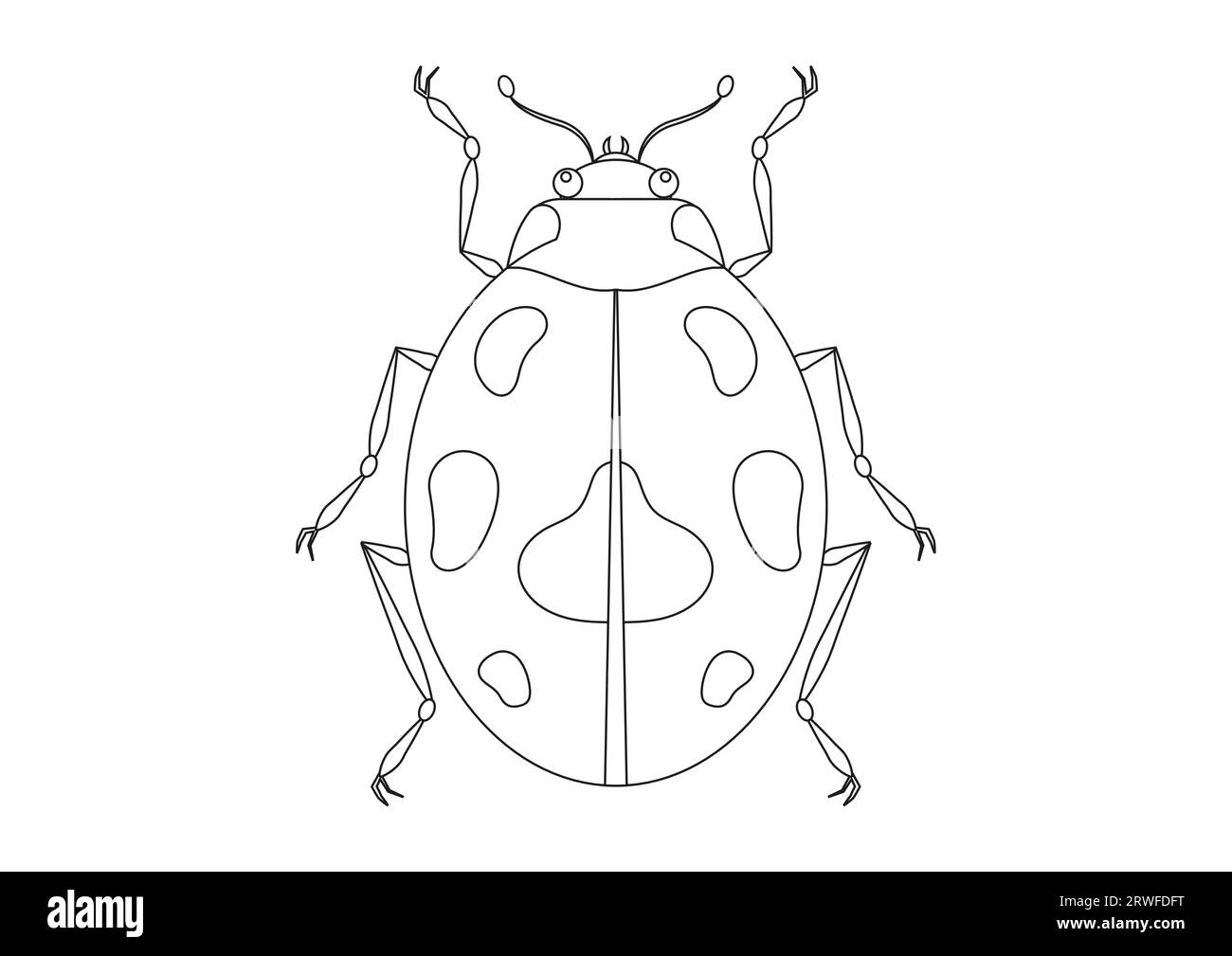 Schwarz-weiß-Käfer-Vektor Clipart. Malseite eines Käfers Stock Vektor