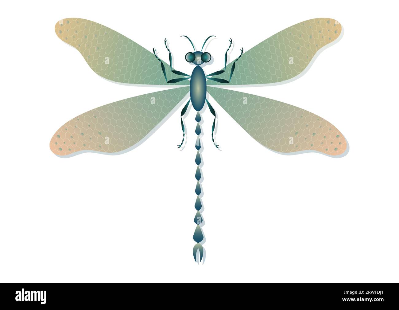 Libelle Vektor-Kunst isoliert auf weißem Hintergrund Stock Vektor