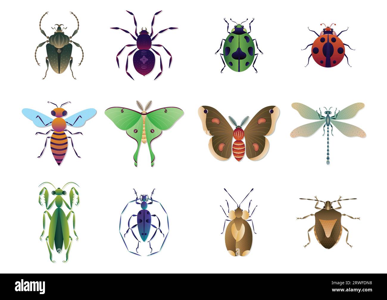 Verschiedene Arten von Insektensammelvektorillustration Stock Vektor
