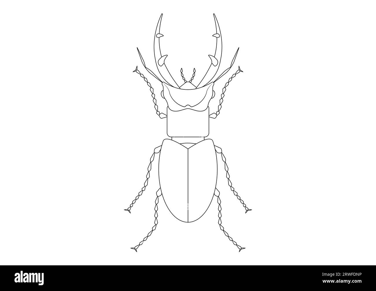 Schwarz-weiß Riesen Hirsch Käfer Clipart. Malseite eines riesigen Hirschkäfers Stock Vektor