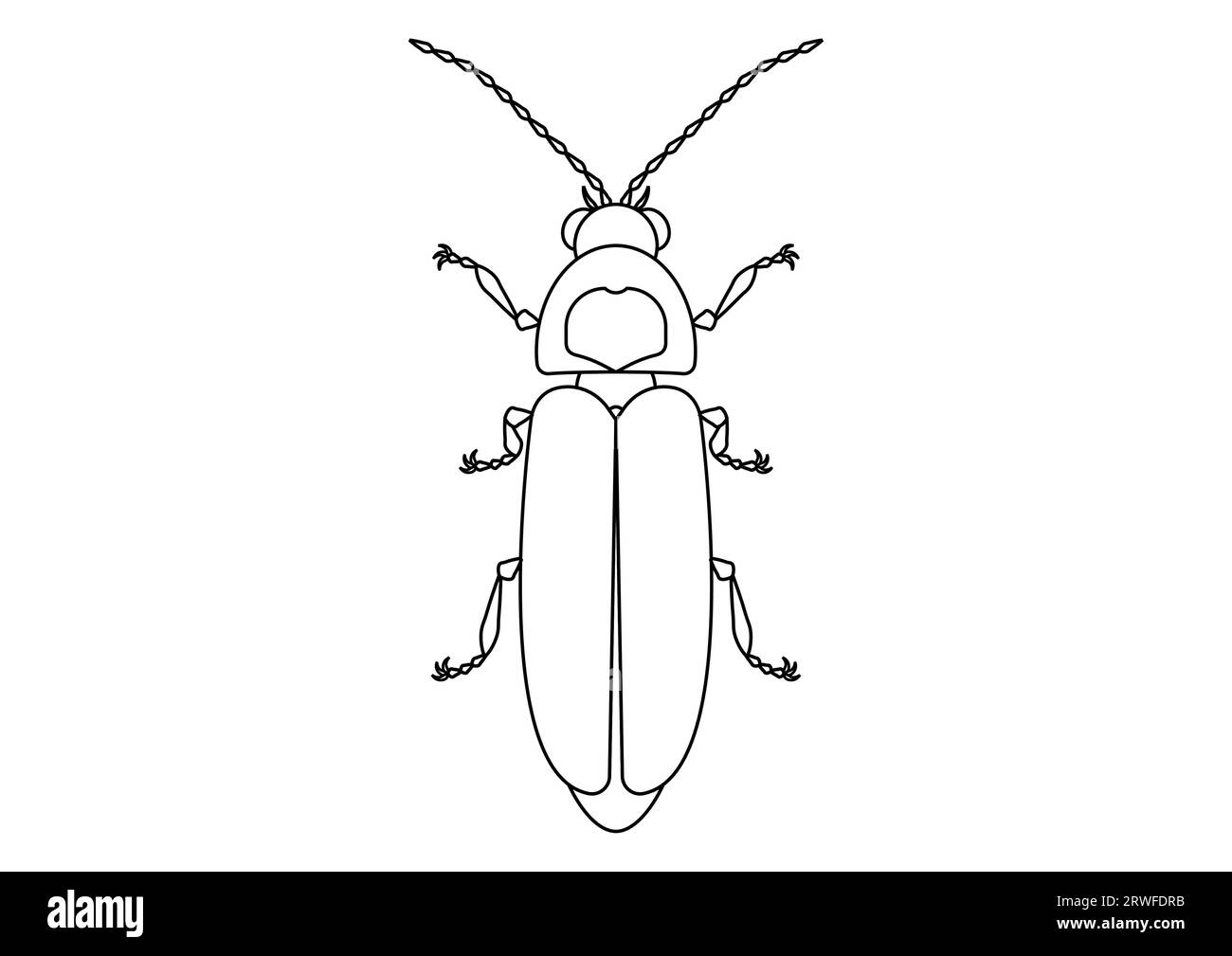 Schwarz-weiß Firefly Clipart. Färbung einer Firefly-Seite Stock Vektor