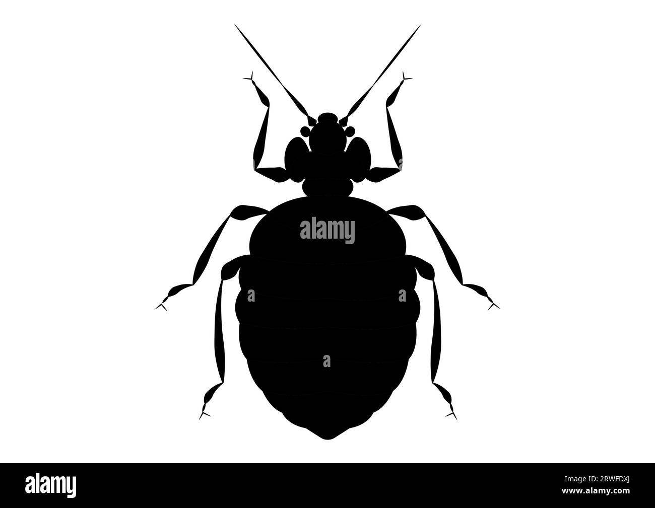 Schwarz-weiß Bett Bug Clipart Stock Vektor