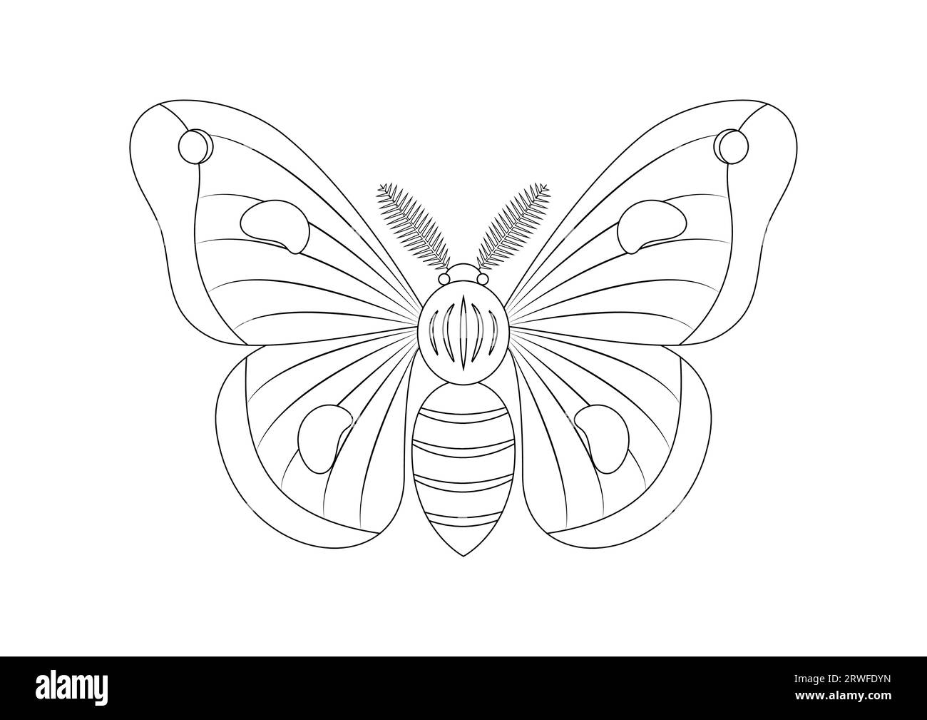 Schwarz-weiß Moth Insect Clipart Vektor isoliert auf weißem Hintergrund. Malseite eines Motteninsekten Stock Vektor