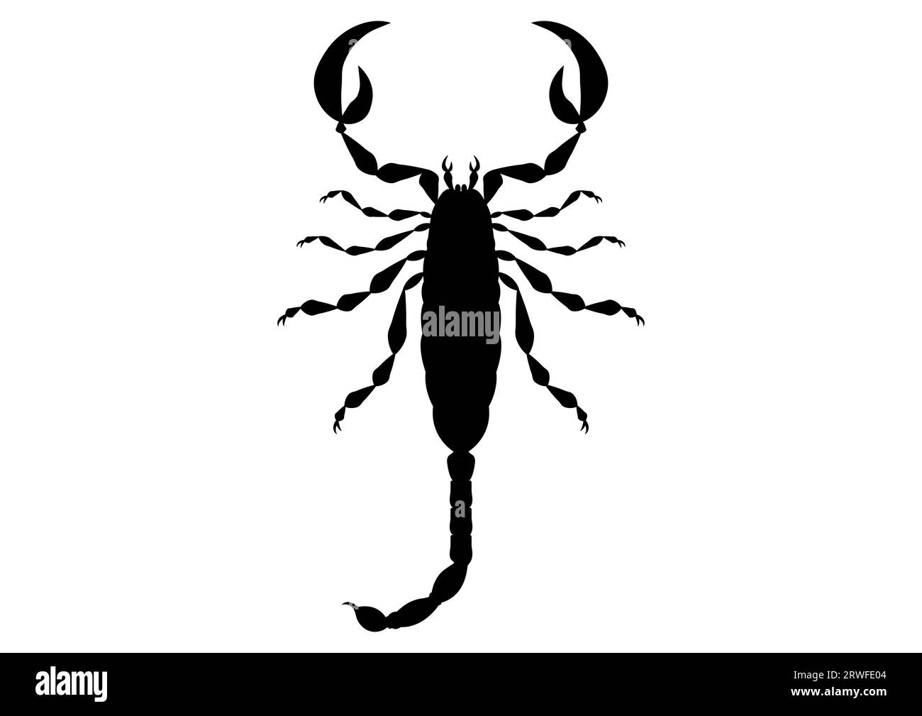 Schwarz-weiß Skorpion Clipart Vektor isoliert auf weißem Hintergrund Stock Vektor