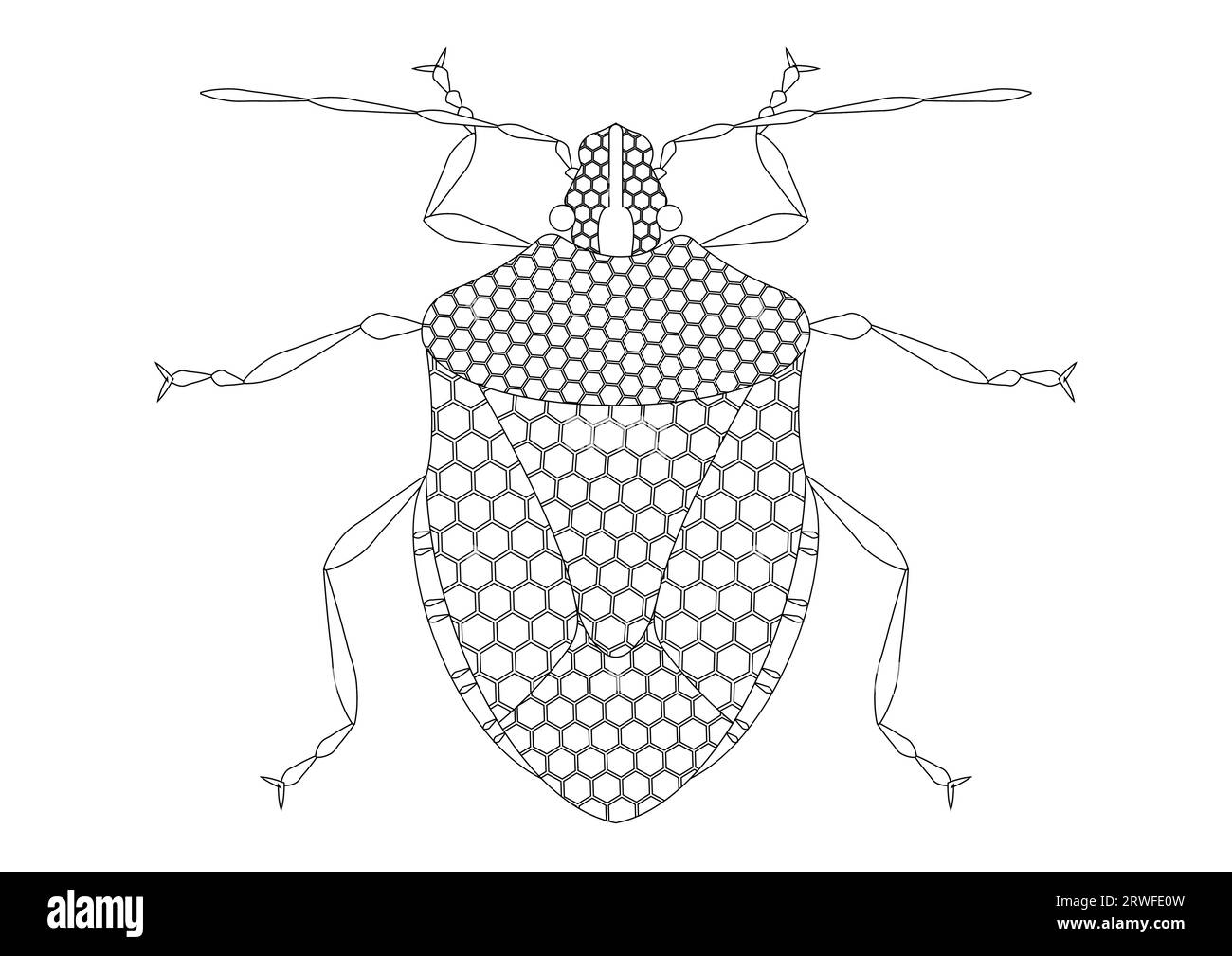 Schwarz-weiß stinkender Bug Clipart Vektor isoliert auf weißem Hintergrund. Malseite eines stinkenden Bugs Stock Vektor