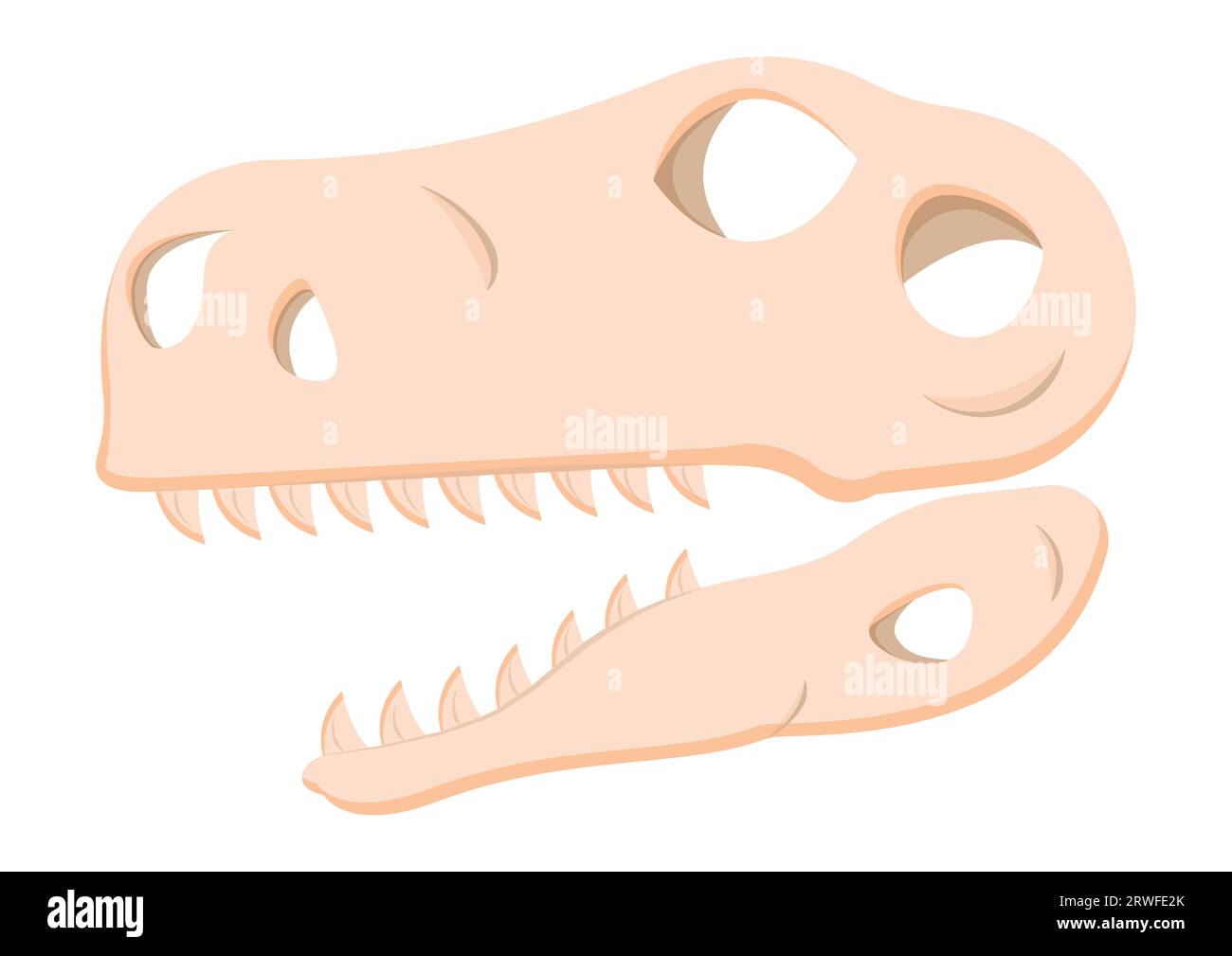 Dinosaurierkopf Schädel Fossil Clipart Vektor isoliert auf weißem Hintergrund Stock Vektor
