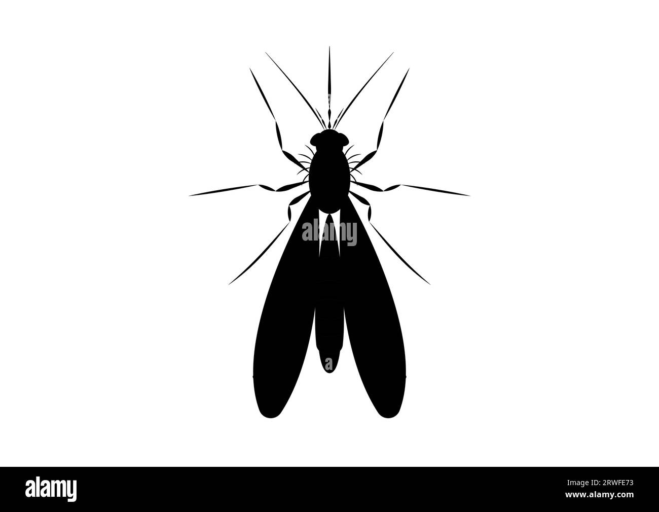 Schwarz-weiß-Mosquito-Clipart-Vektor isoliert auf weißem Hintergrund Stock Vektor