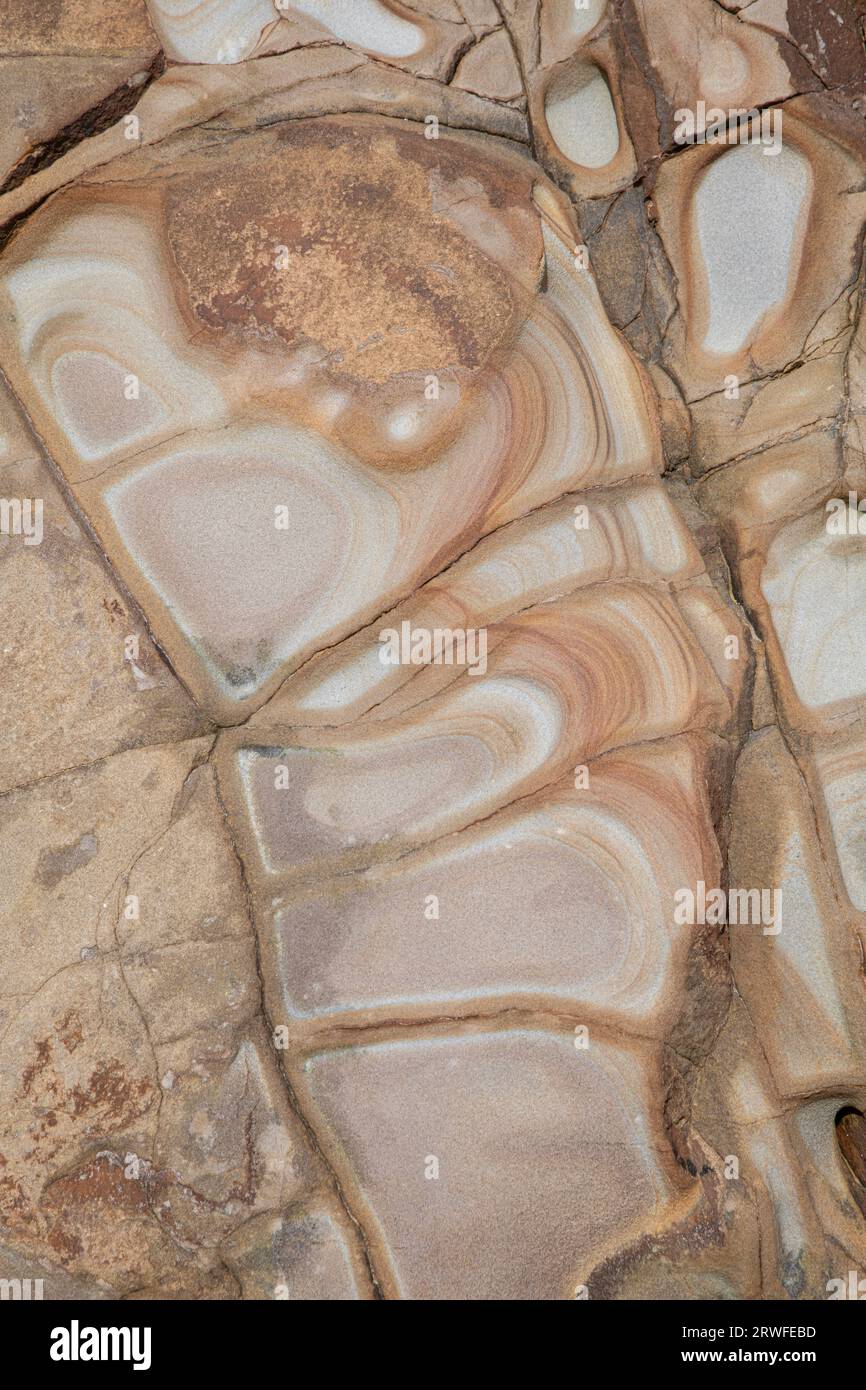 Rock Formation, Widemouth Bay, Cornwall, Großbritannien. Schlesisches (oberes Karbon) Gestein hauptsächlich aus der Bude-Formation (überwiegend Sandsteine) Stockfoto