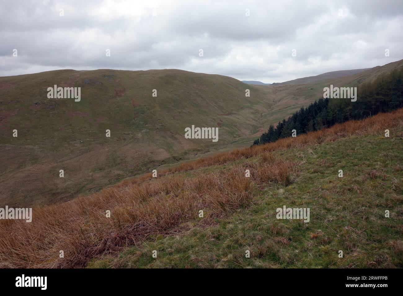 Das Willdale Valley vom Path Up Haus End bis zum Wainwright „wether Fell“ von Cawdale im Lake District National Park, Cumbria, England, Großbritannien. Stockfoto