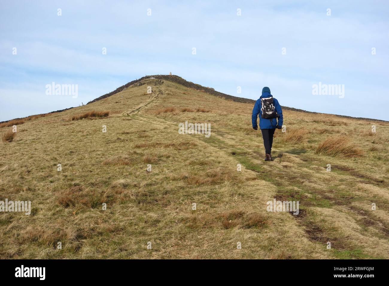 Man (Älteres Hiker) Walking on Track to Sharp Haw on Flasby Fell im Yorkshire Dales National Park, England. Stockfoto