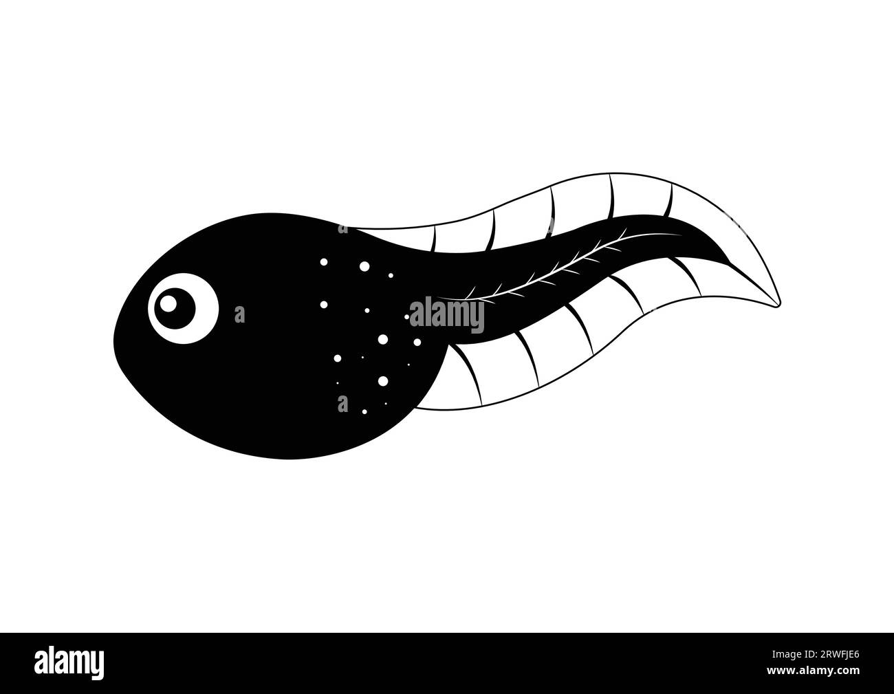 Schwarz-weiß-Tadpole-Zeichentrickfigur Vektor-Illustration. Kaulquappe Silhouette Flach Stock Vektor