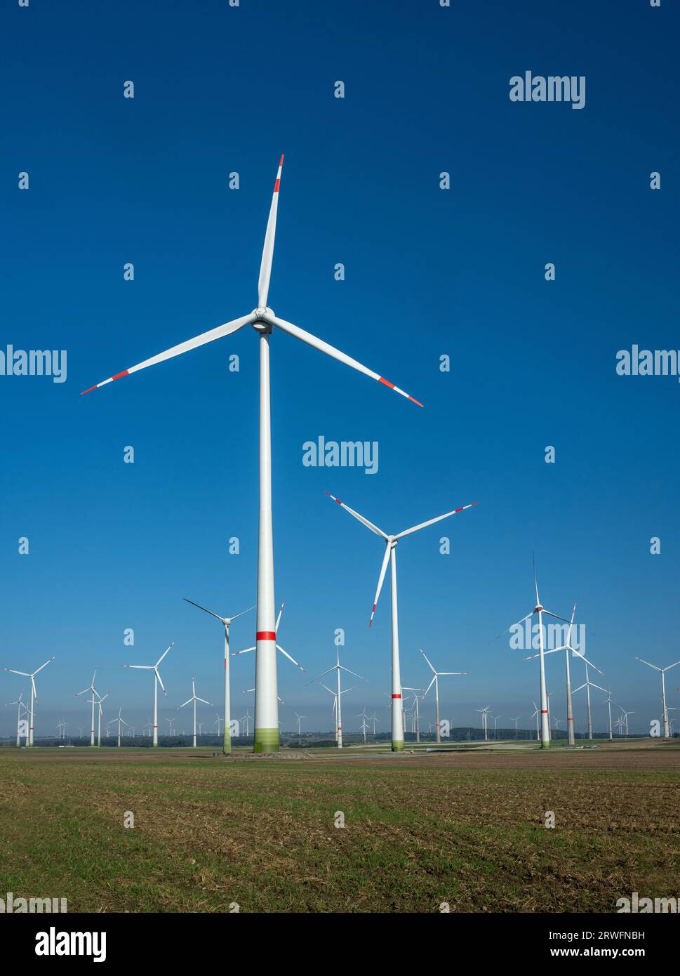 Großer Windpark auf landwirtschaftlicher Fläche in Paderborn, Nordrhein-Westfalen, Deutschland, Europa Stockfoto