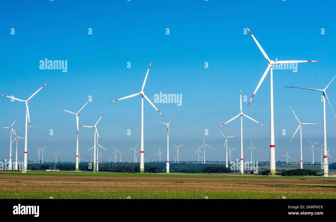 Großer Windpark auf landwirtschaftlicher Fläche in Paderborn, Nordrhein-Westfalen, Deutschland, Europa Stockfoto