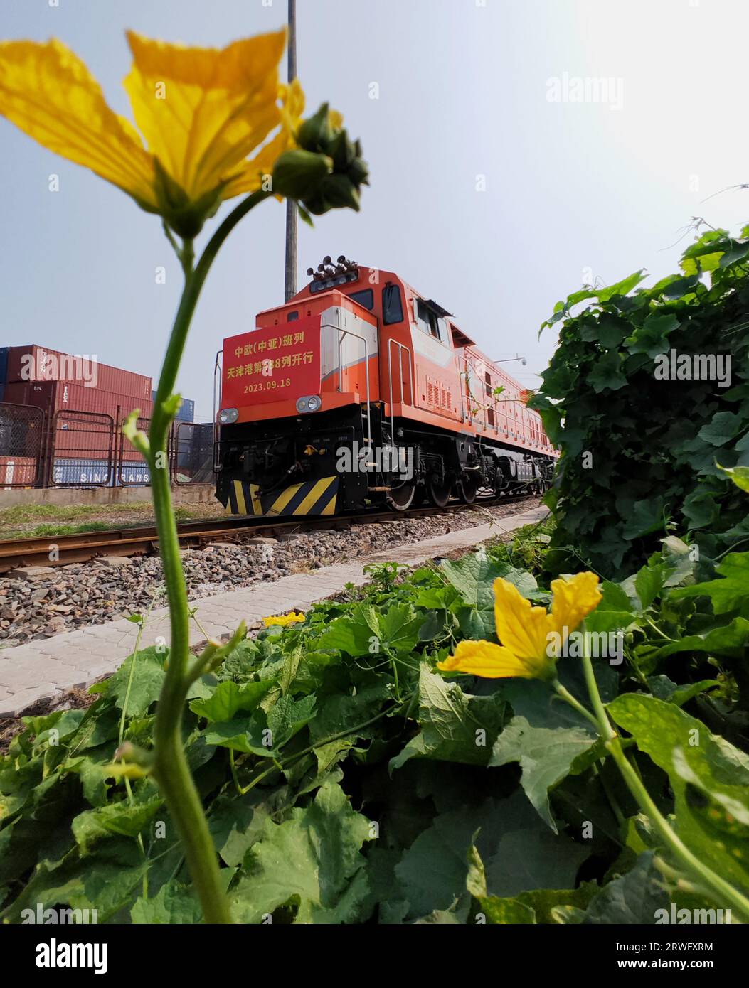 Tianjin, Hafen von Tianjin im nordchinesischen Tianjin. September 2023. Ein Güterzug nach Ulan Bator, Mongolei, fährt am 18. September 2023 aus einem Bahnhof im Hafen von Tianjin im nordchinesischen Tianjin. Seit Anfang dieses Jahres wurden im nordchinesischen Tianjin-Hafen fast 500 Güterzugfahrten nach China-Europa und China-Zentralasien unternommen. Der Güterzugverkehr ist von großer Bedeutung, um die koordinierte Entwicklung der internationalen Logistik in der Region Peking-Tianjin-Hebei weiter zu fördern. Quelle: Yin Gang/Xinhua/Alamy Live News Stockfoto