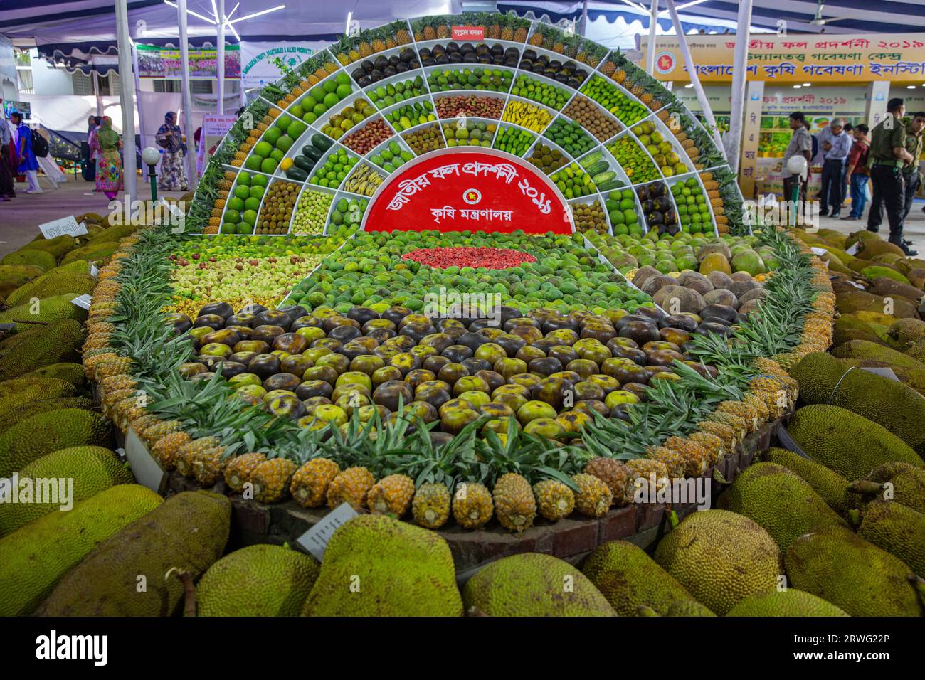 Verschiedene Obstsorten auf dem National Fruits Festival, das vom landwirtschaftsministerium in Dhaka, Bangladesch, organisiert wird. Stockfoto