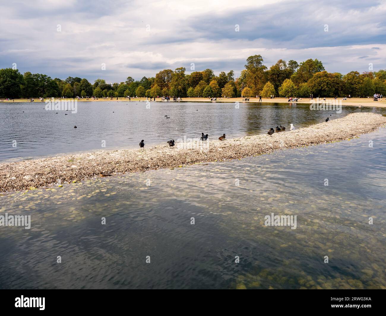 Sandbank für die Vogelwelt im Round Pond in Kensington Gardens, London Stockfoto