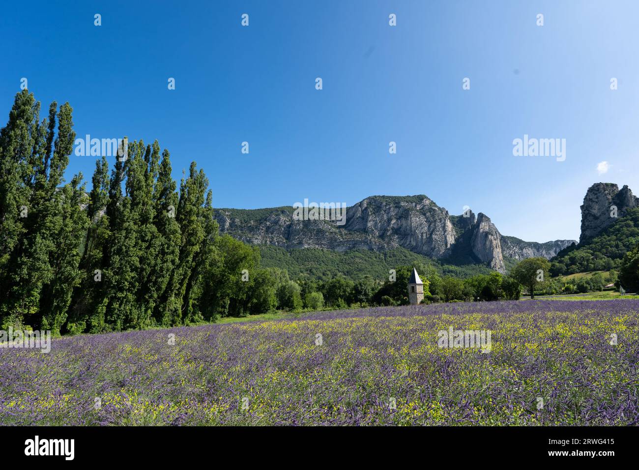 Lavendelfeld in der Nähe der Stadt Saou mit einem kleinen Turm. Europa, Frankreich, Drôme Stockfoto