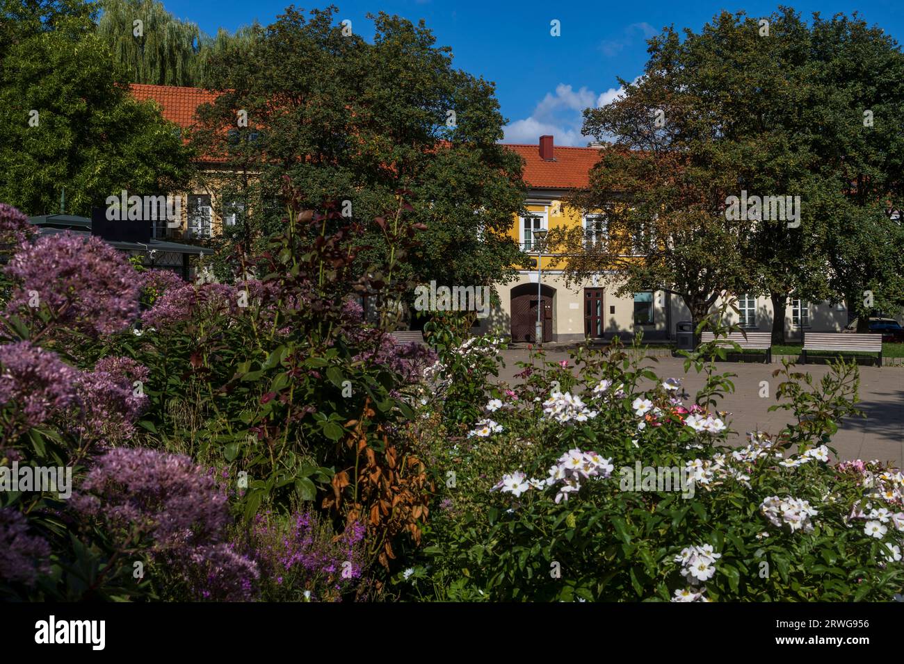 Alter Hof mit Pflanzen, Hortensien und Kosmos bewachsen Stockfoto