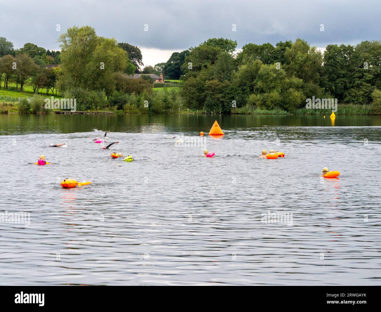 Pickmere, Knutsford, Cheshire, Großbritannien. September 2023. Gruppe von Schwimmern, die am Ende der Saison Wildwasserschwimmen machen, ein oder zwei Meilen rac Stockfoto