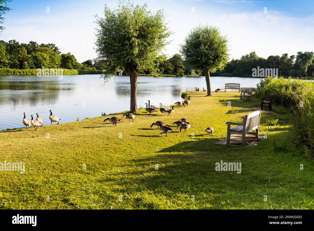 Thorpeness Meare Stockfoto