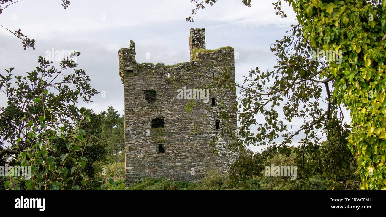 Ruine befestigter Turm Ballinvard Castle durch Wälder gesehen. West Cork Irland Stockfoto