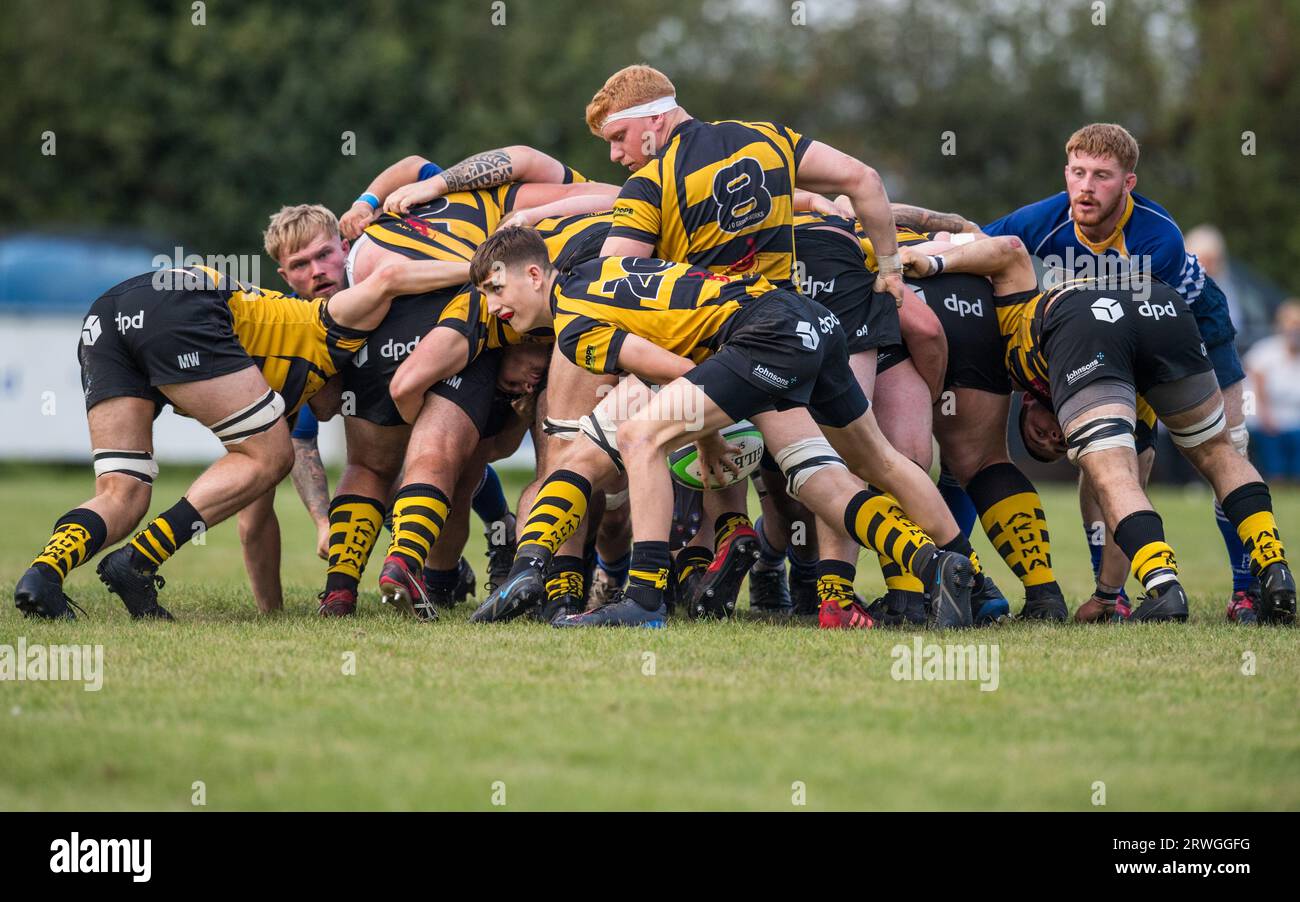 Englische Herren Amateurspieler der Rugby Union spielen in einem Ligaspiel. Stockfoto