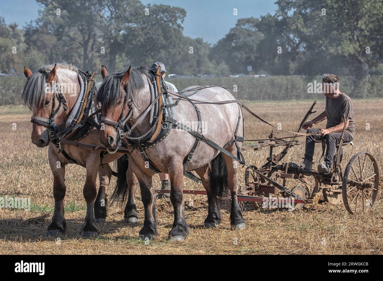 Landwirtschaftsmesse in Partridge Green Stockfoto