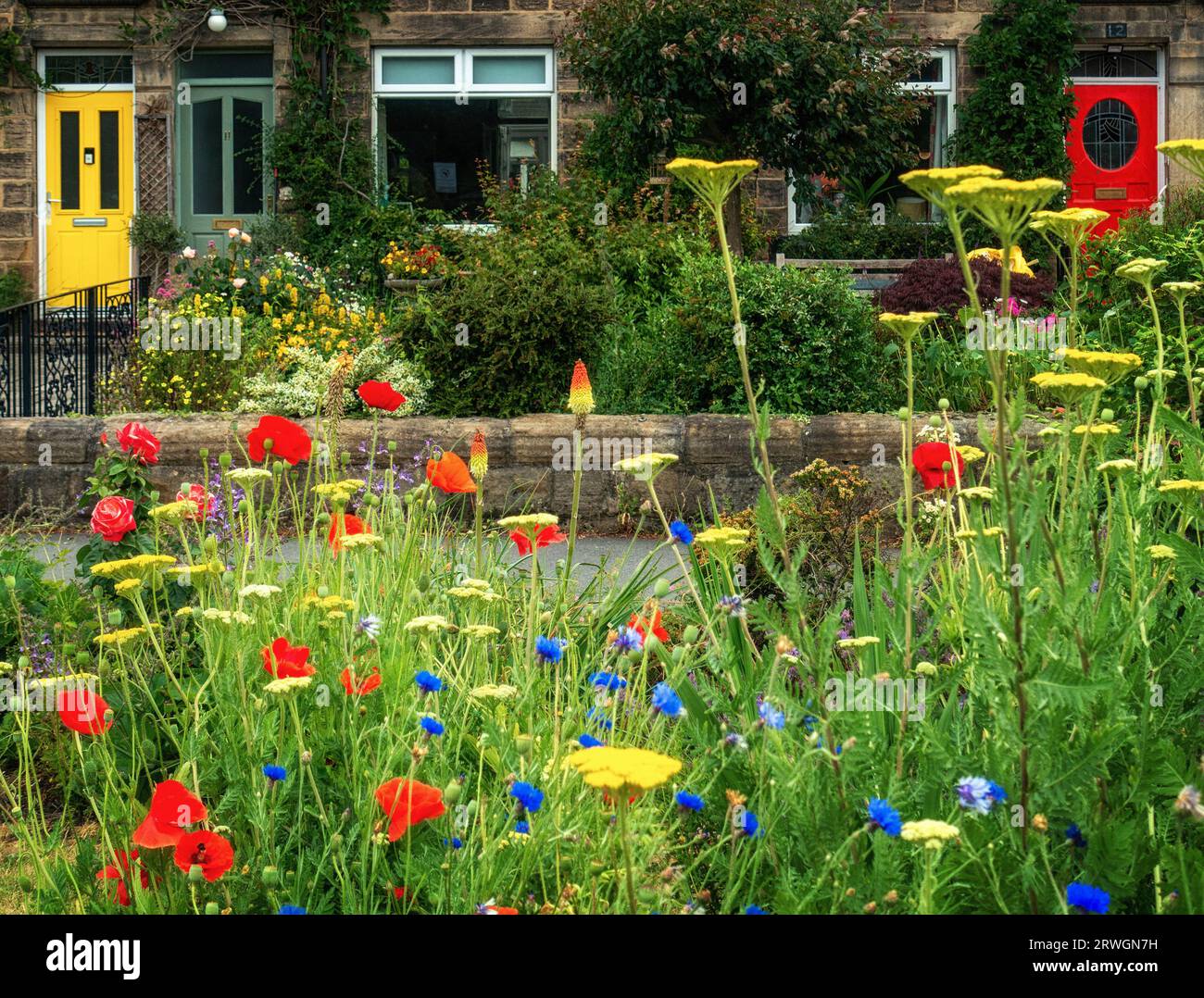 Bunte Gemeinschaftsgärten in Rot, Gelb und Blau, die mit den Türen der Häuser dahinter in Otley, West Yorkshire, England, Vereinigtes Königreich koordiniert werden Stockfoto