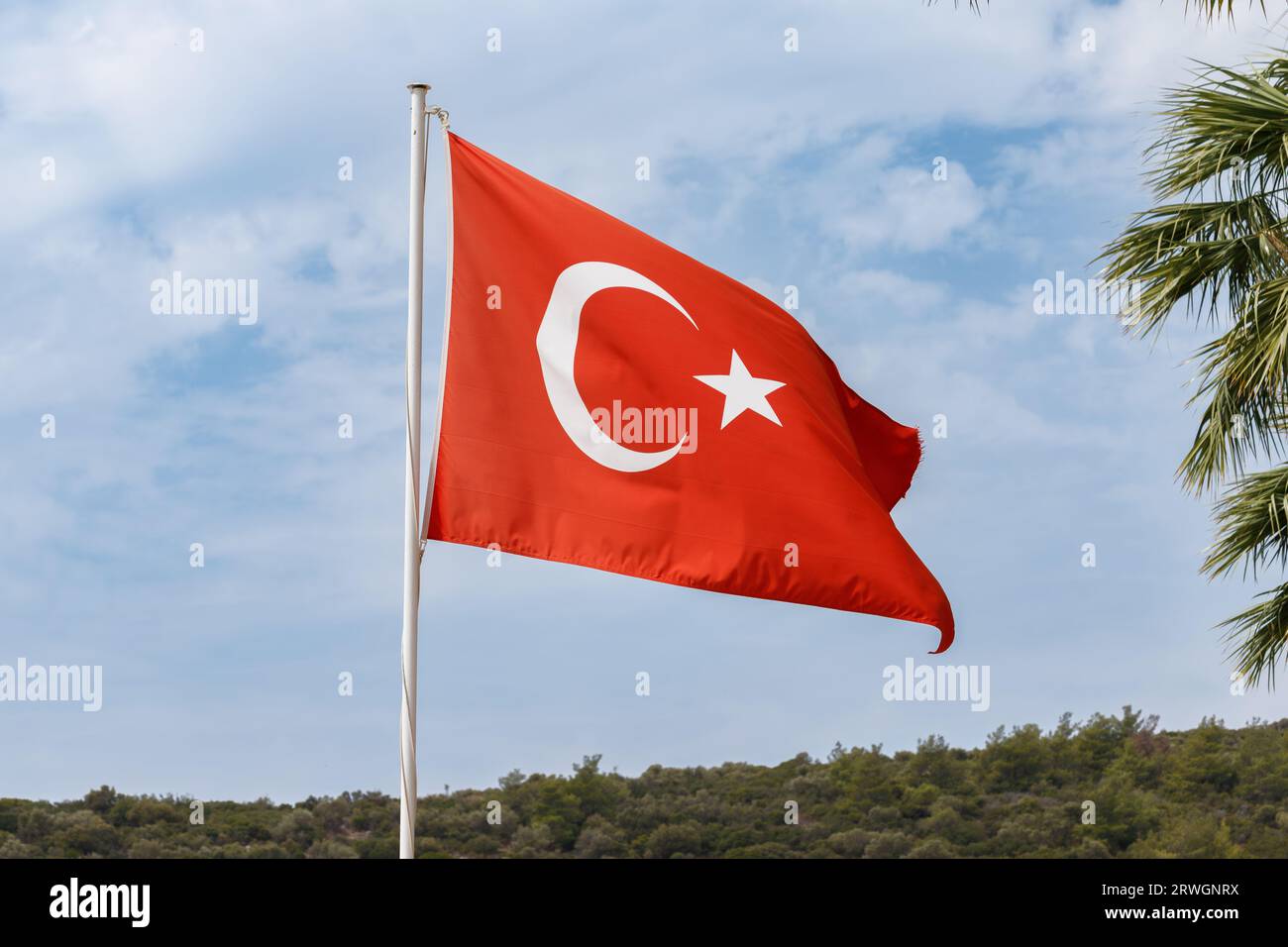 Türk bayrağı. Übersetzung Türkei Flagge im Wind Stockfoto