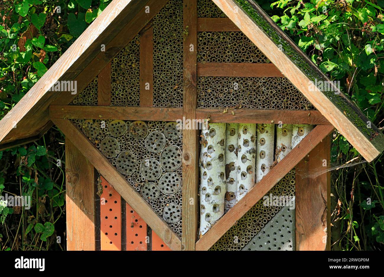 Bee Box, Cosmeston Lakes and Country Park, Penarth, Vale of Glamorgan, South Wales, Großbritannien. Stockfoto
