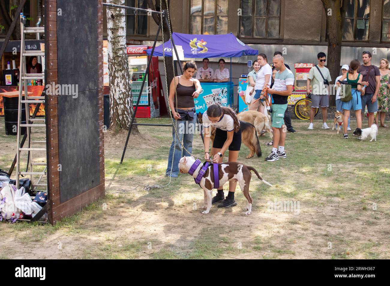 Weißrussland, Minsk - 20. august 2023: Mädchen bringen einem Hund bei, auf fest zu springen Stockfoto